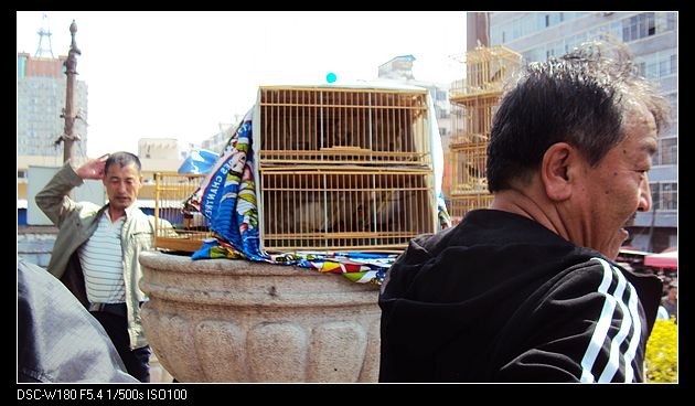 nEO_IMG_DSC05716.jpg