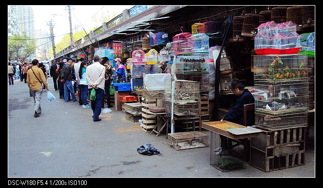 nEO_IMG_DSC05736.jpg
