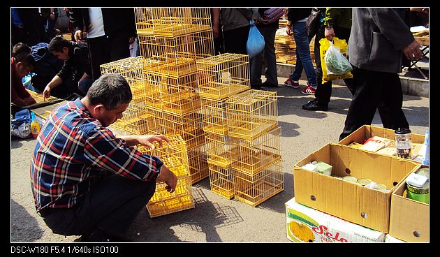 nEO_IMG_DSC05680.jpg