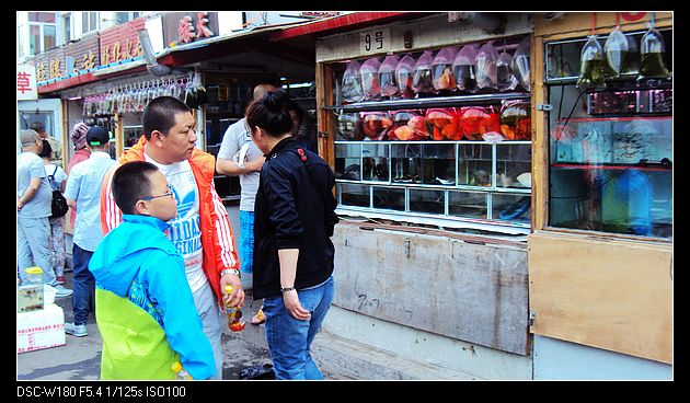 nEO_IMG_DSC05743.jpg