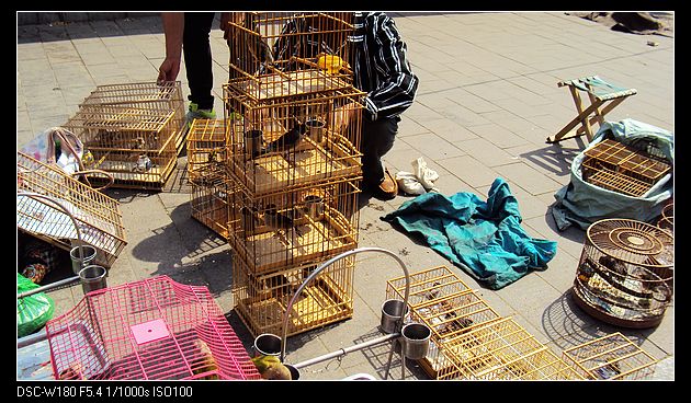 nEO_IMG_DSC05676.jpg