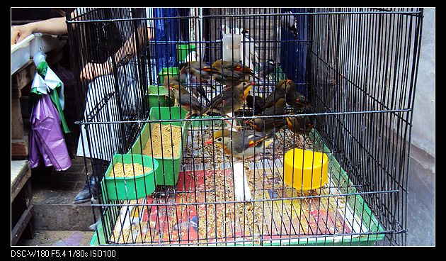 nEO_IMG_DSC05790.jpg