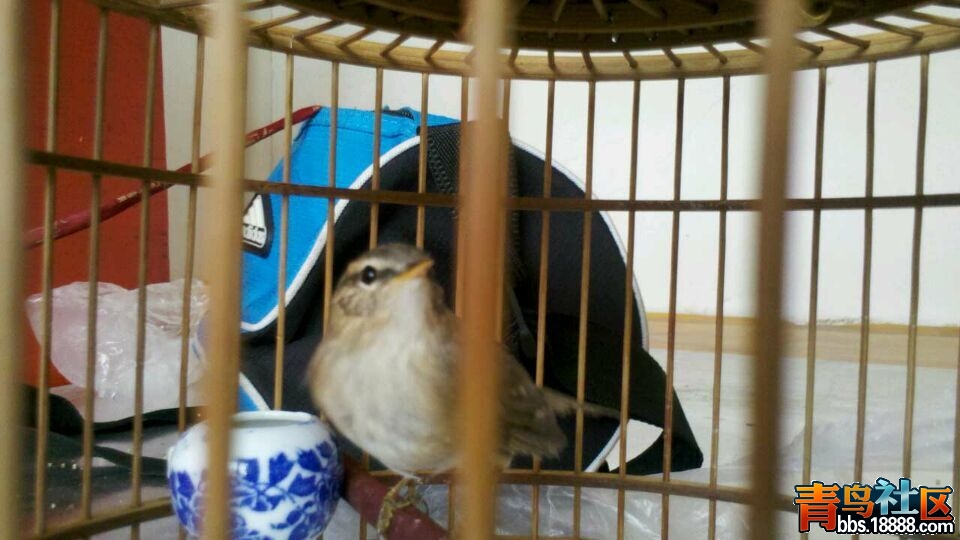 QQ图片20150516203225.jpg