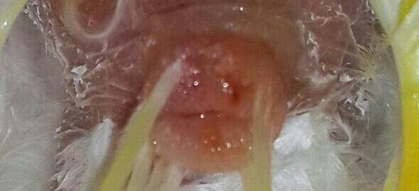 20150603_205205-1-1-5.jpg