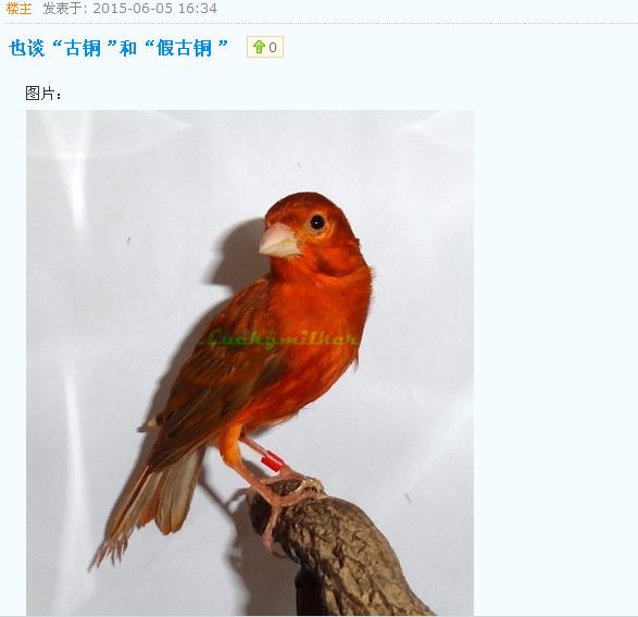 360截图20150606125026765.jpg