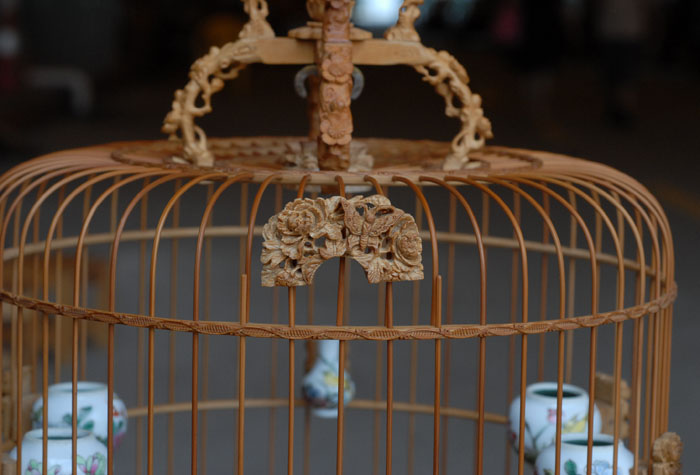 DSC_0032.JPG