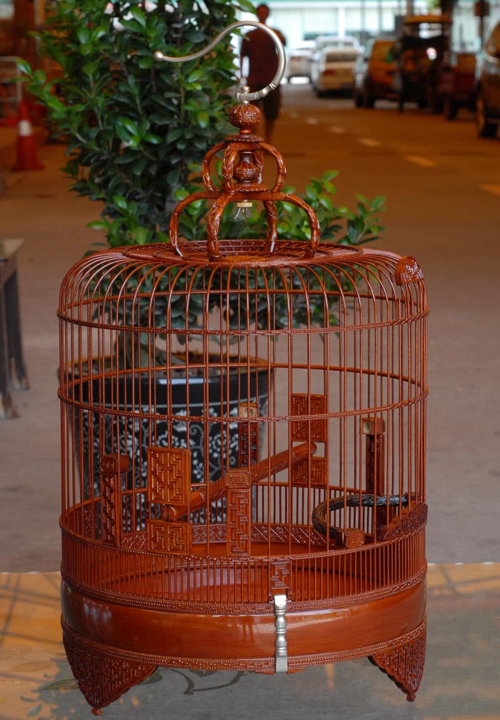 DSC_0054.JPG