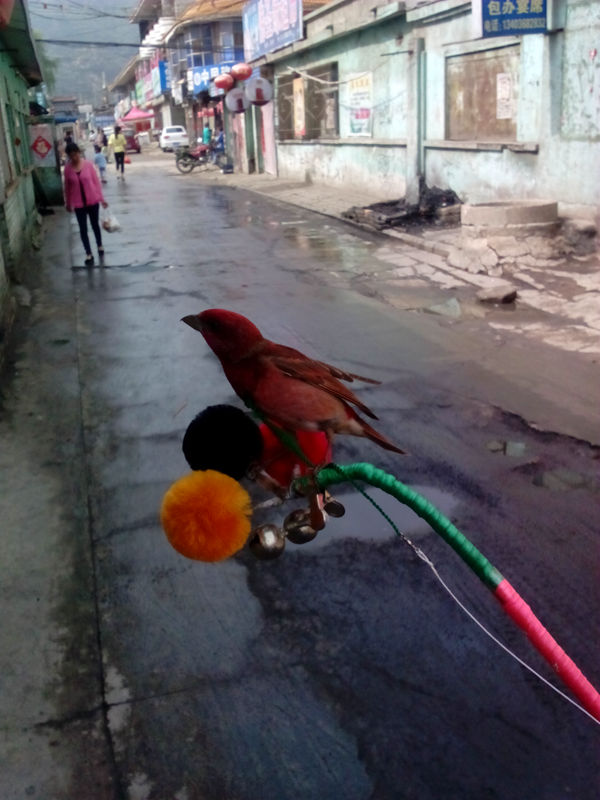 IMG_20150610_092140.jpg