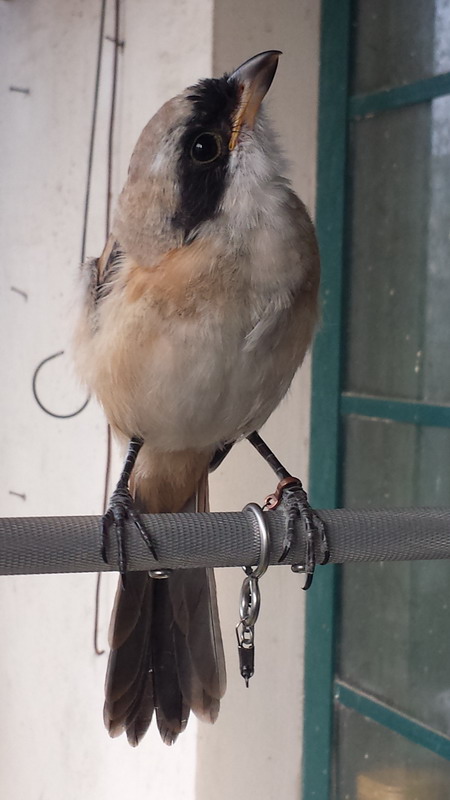 20150613_175236.jpg