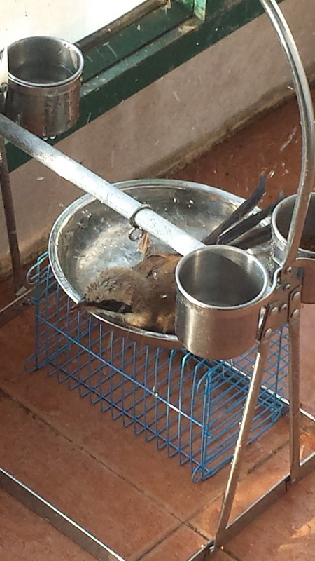 20150605_173929.jpg