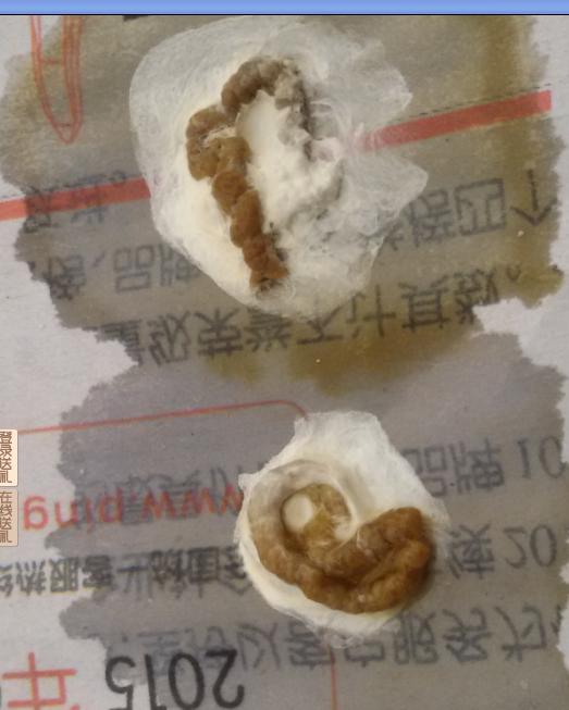 QQ图片20150616191312.JPG