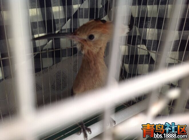 QQ图片20150422183934.jpg