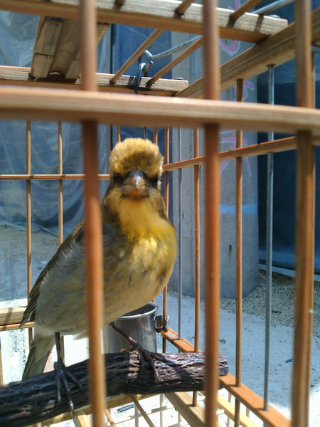 IMG20150614101858_缩小大小.jpg