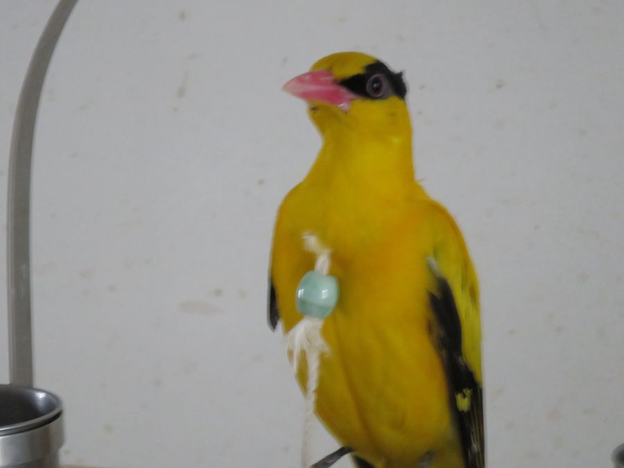 IMG_1603_副本.jpg
