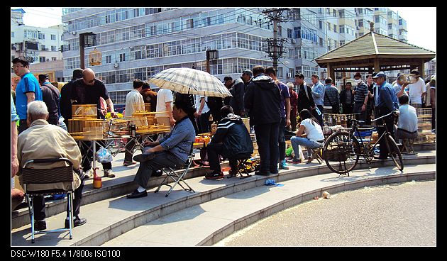 nEO_IMG_DSC05969.jpg