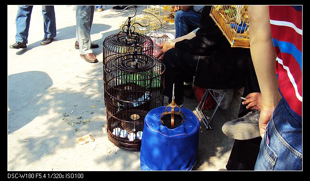 nEO_IMG_DSC05957.jpg