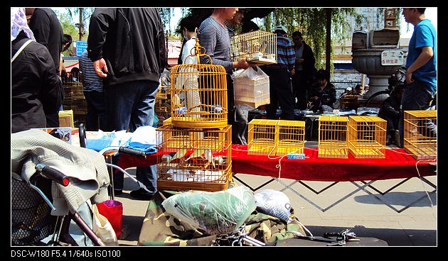 nEO_IMG_DSC05965.jpg