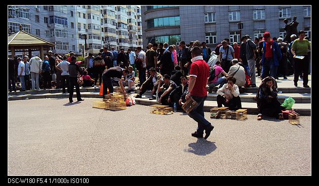 nEO_IMG_DSC05978.jpg