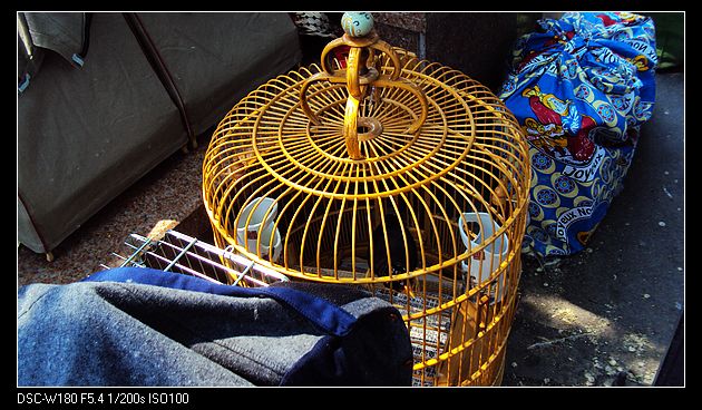 nEO_IMG_DSC05988.jpg