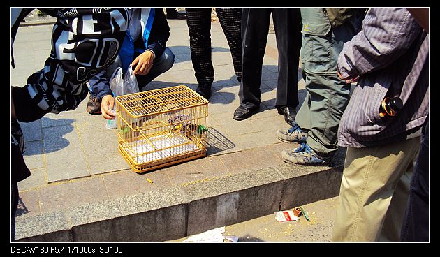 nEO_IMG_DSC05933.jpg
