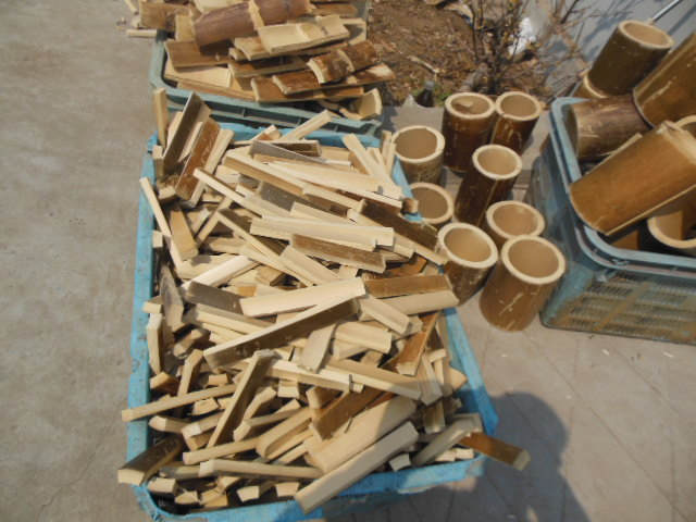DSCN4086.JPG