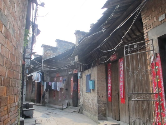 IMG_1681_缩小大小.JPG