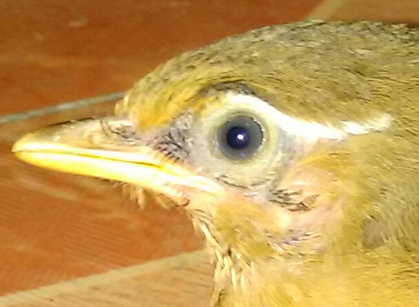 _20150625_001722.JPG