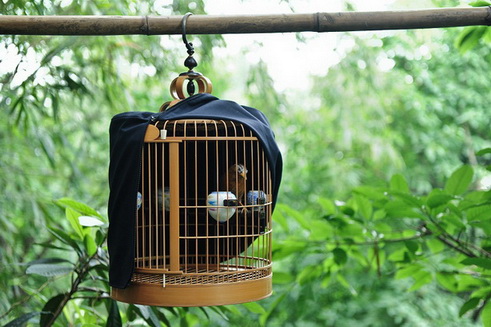 DSC_9468副本2.jpg