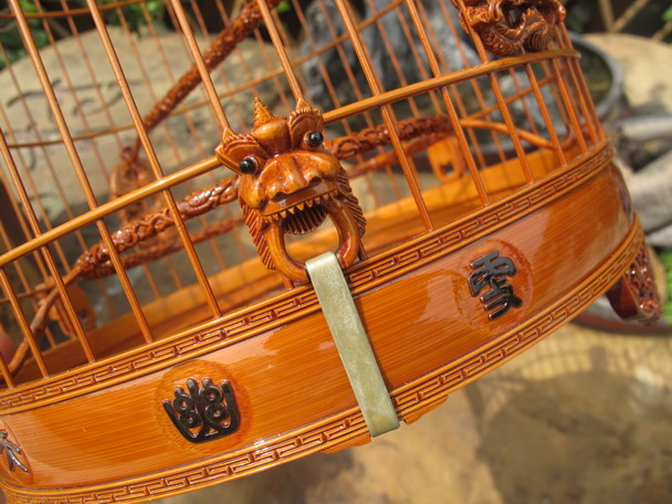 IMG_2504_调整大小.JPG