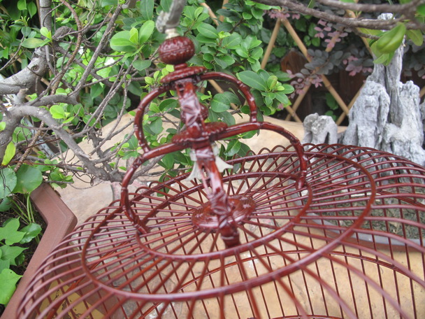 IMG_2584_调整大小.JPG