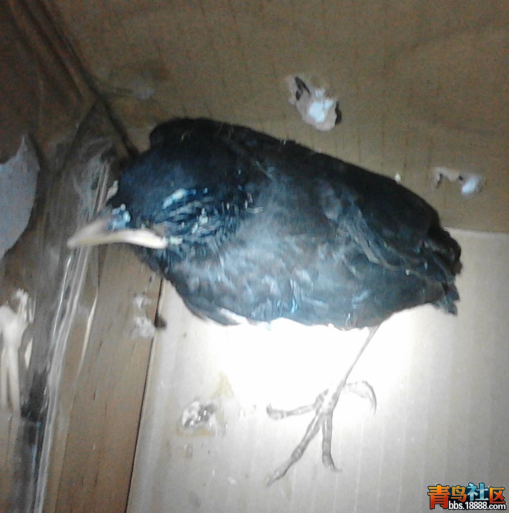 IMG20150624163751.jpg