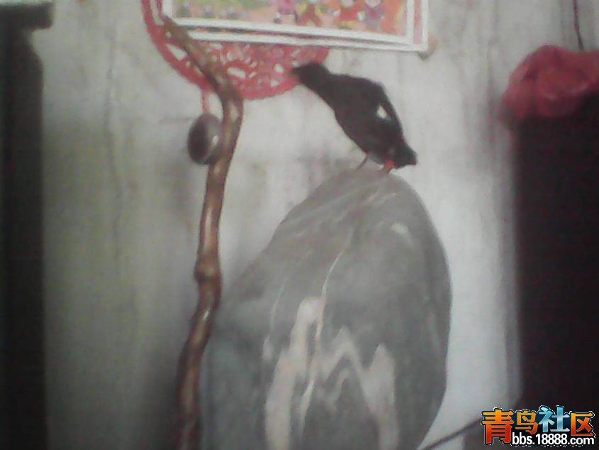 DSC_0001227_副本.jpg