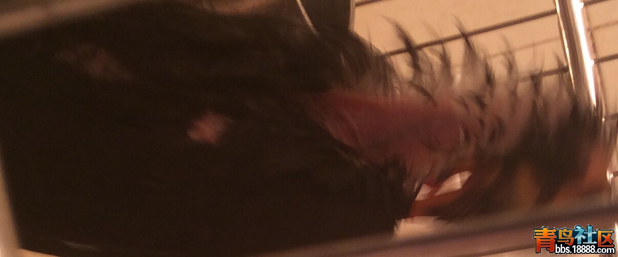 image.jpg