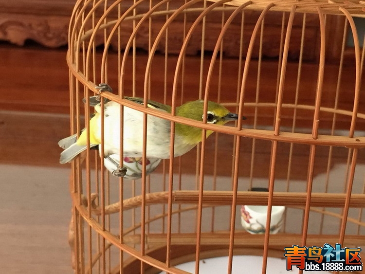 照片 410.jpg