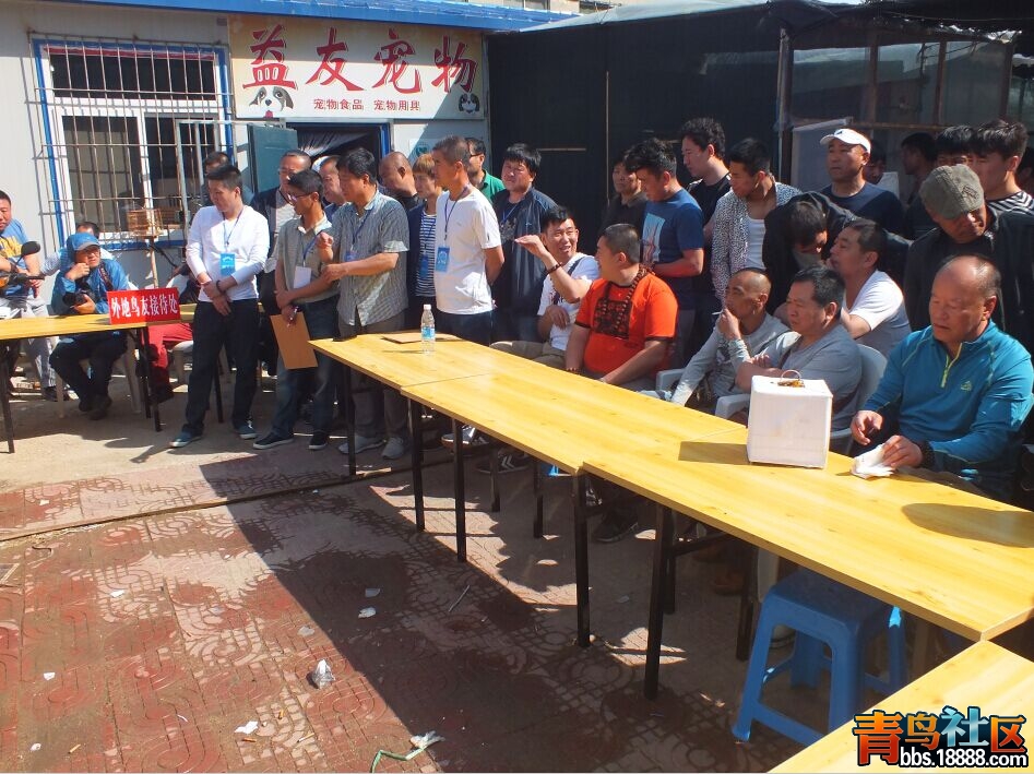 QQ图片20150603235923.jpg