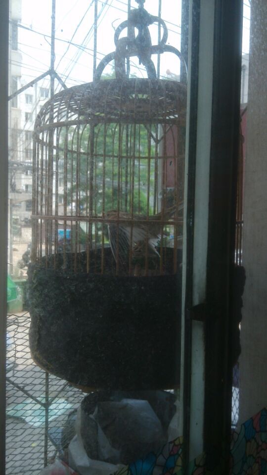 QQ图片20150616221511.jpg