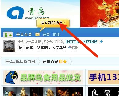 QQ图片20150623150626_副本.jpg