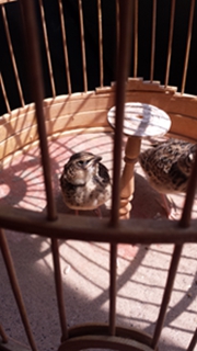 IMG20150614141719.jpg