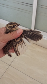 20150614_151200.jpg