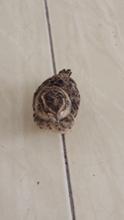 20150614_151328.jpg