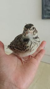 20150614_152002.jpg