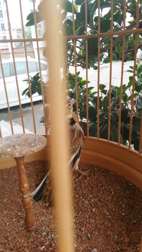 QQ图片20150610165054.jpg