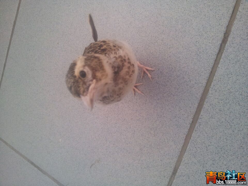 QQ图片20150620185603.jpg