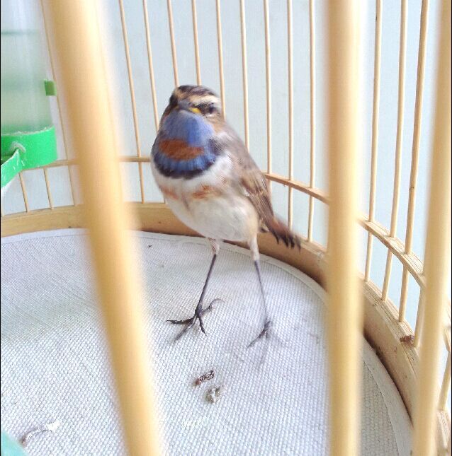 QQ图片20150621140750.jpg