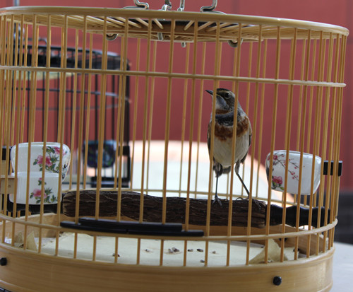 IMG_1057_副本.jpg
