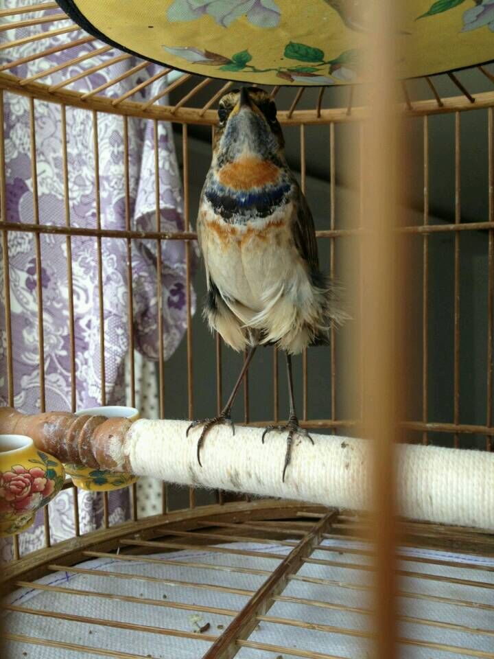 QQ图片20150603135651.jpg