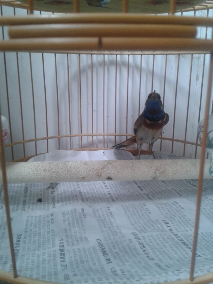 QQ图片20150603095725.jpg