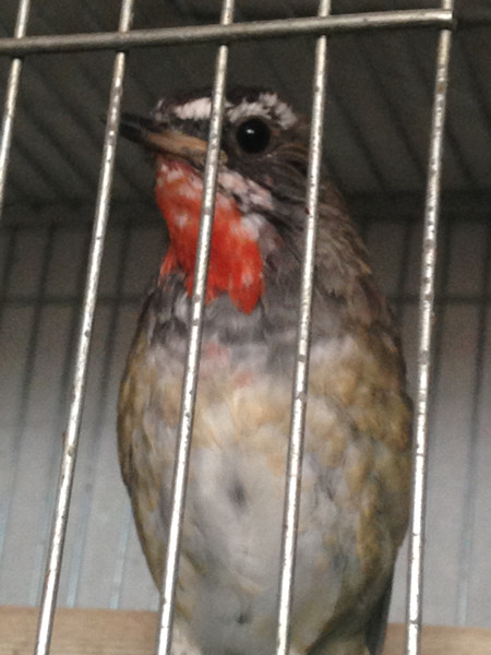 照片 187.jpg