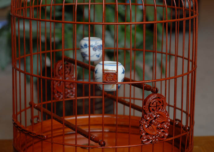 DSC_0012.JPG
