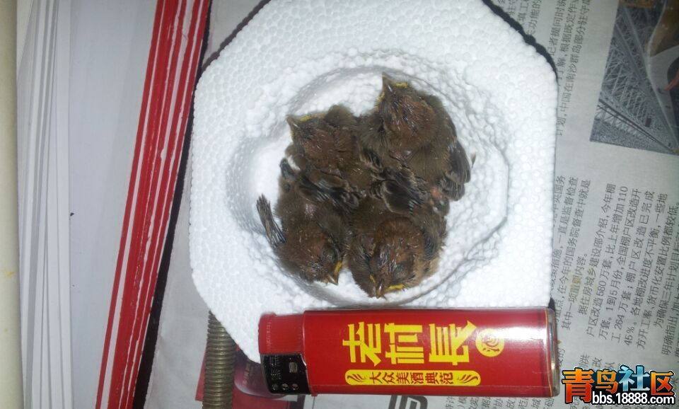 QQ图片20150714161253.jpg